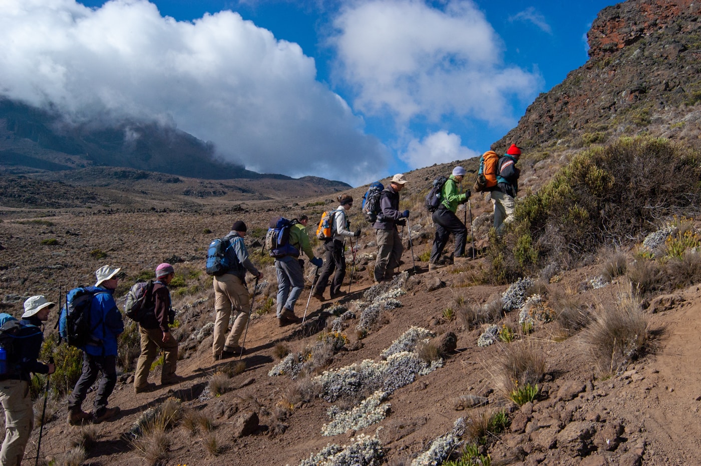 Kilimanjaro hikers