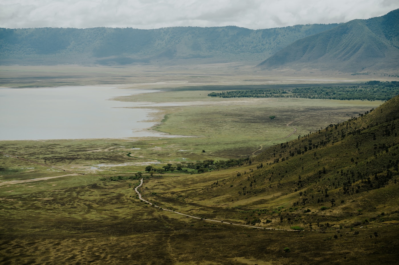 Wide view across the green Ngorongoro landscape